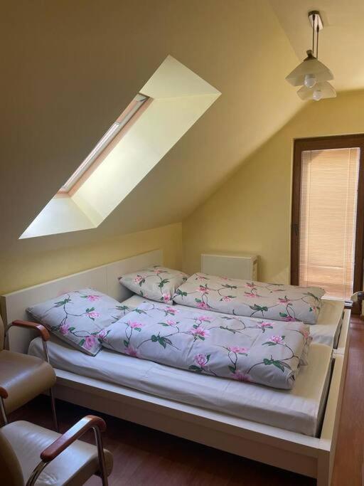 Sulicamp Kompleks Wypoczynkowy Sulistrowice Ngoại thất bức ảnh